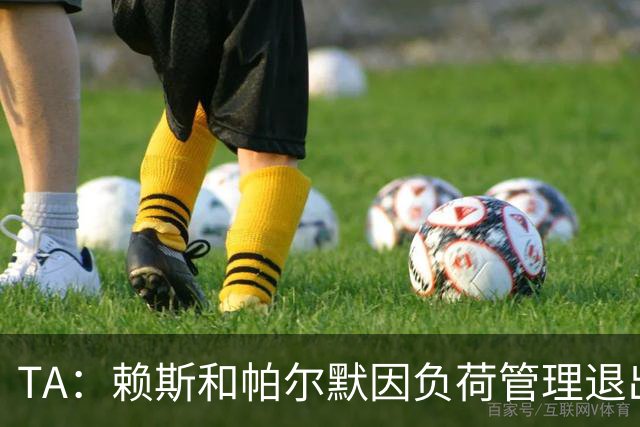 TA：赖斯和帕尔默因负荷管理退出集训，是采取保守的伤病管控方案